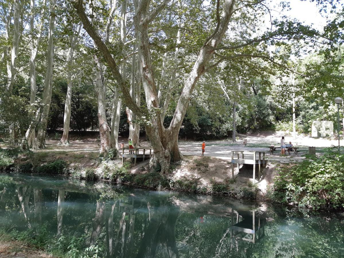 Le Mas De Tiomka Saint-Maximin (Gard) Exterior foto